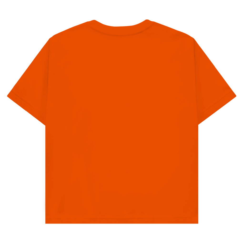 Herren Promo T-Shirt Pravilo