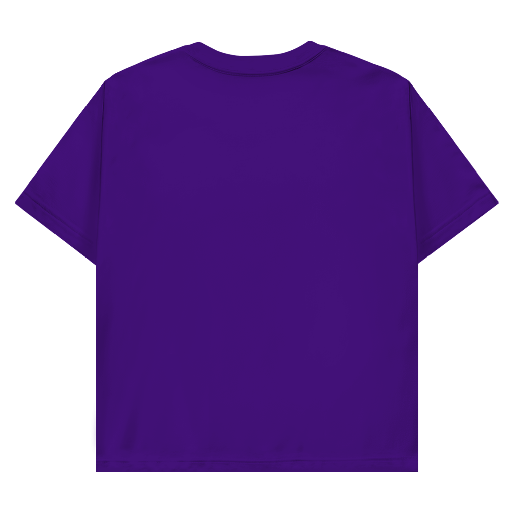 Herren Promo T-Shirt Pravilo