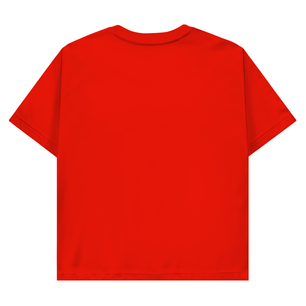 Herren Promo T-Shirt Pravilo
